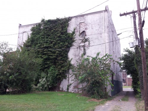 Rear view covered in ivy